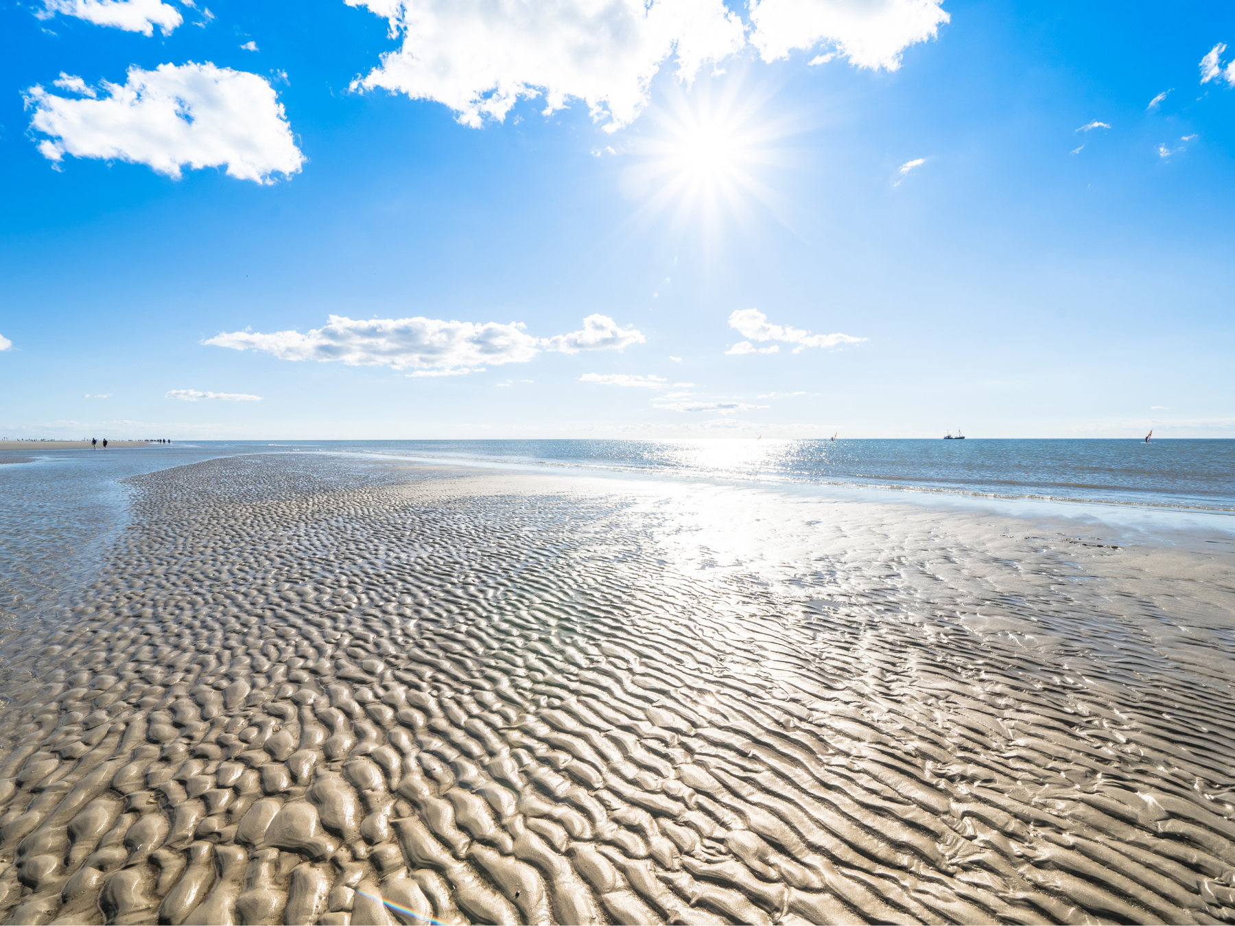Vitamin D3 und K2 für starke Knochen: So funktioniert das Dream-Team