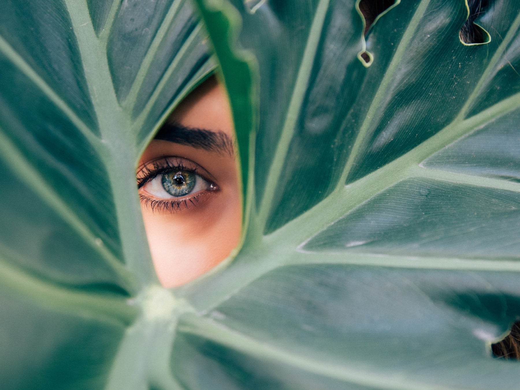 Beauty-Tipps rund um die Augen