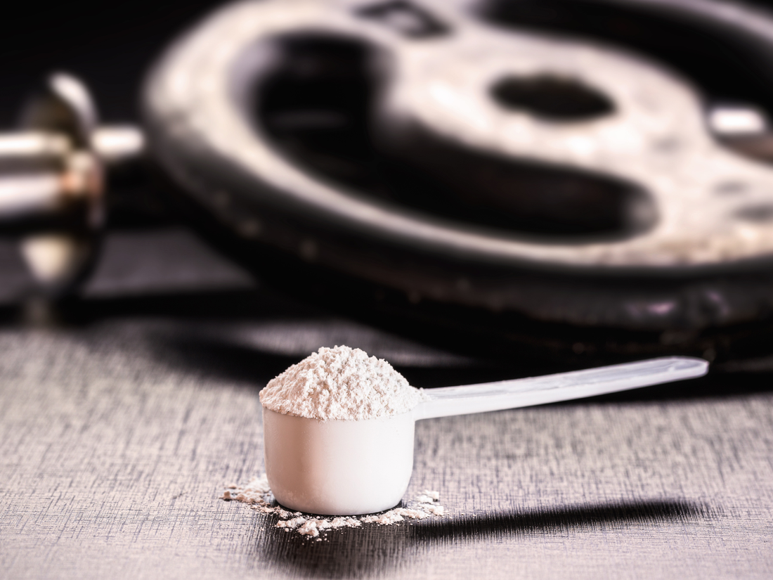 Kreatin Einnahme und Dosierung – Messlöffel mit weißem Creatin Monohydrat Pulver für Sport und Krafttraining